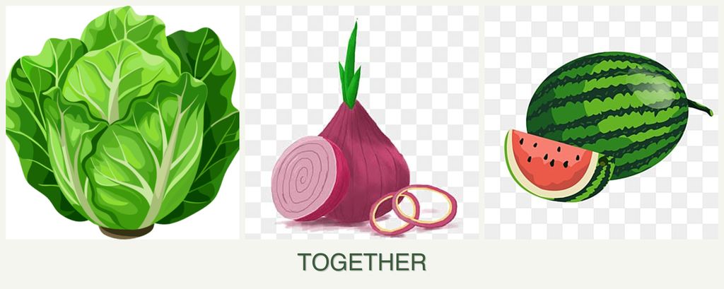 Can you plant lettuce, onions and melons together?