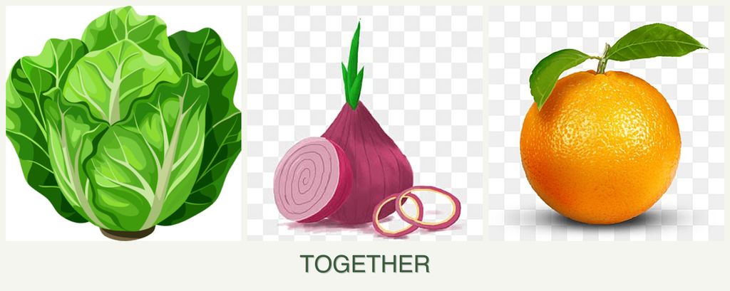 Can you plant lettuce, onions and oranges together?