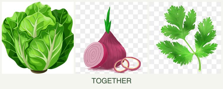 Can you plant lettuce, onions and parsley together?