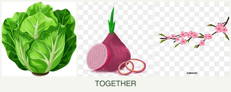 Can you plant lettuce, onions and peaches together?
