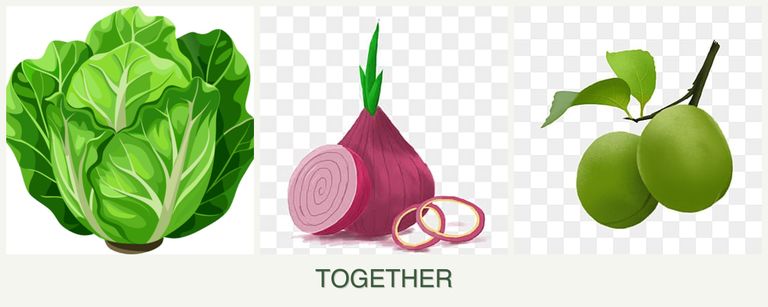 Can you plant lettuce, onions and plums together?