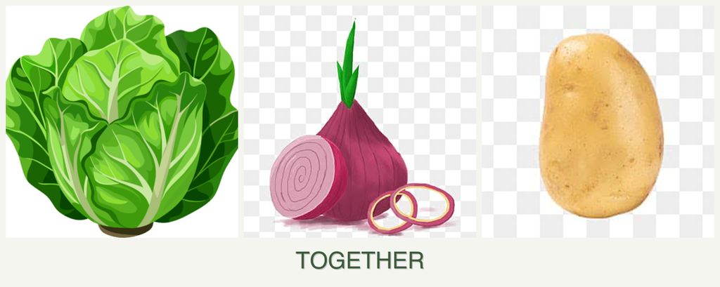 Can you plant lettuce, onions and potatoes together?