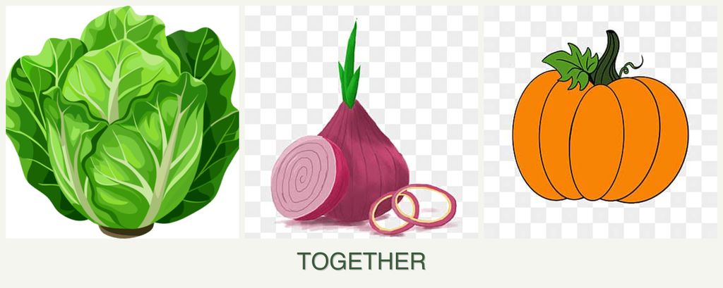 Can you plant lettuce, onions and pumpkin together?