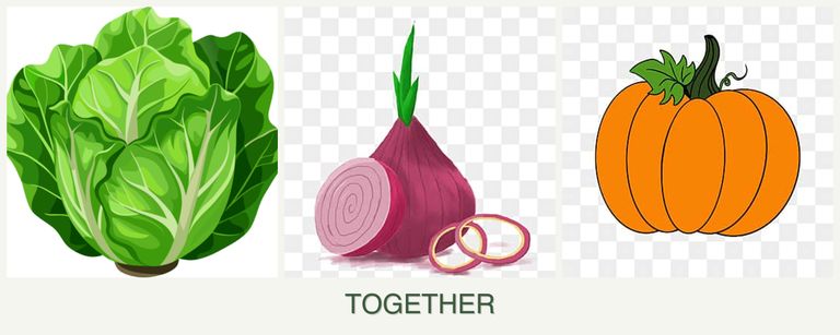 Can you plant lettuce, onions and pumpkin together?