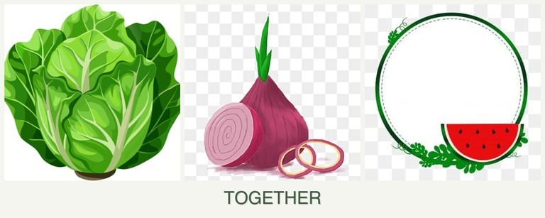 Can you plant lettuce, onions and watermelons together?