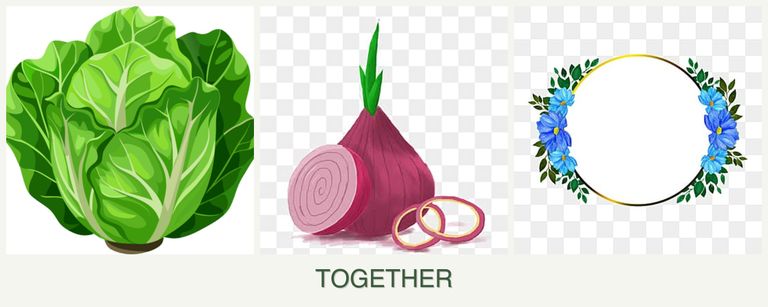 Can you plant lettuce, onions and zinnias together?