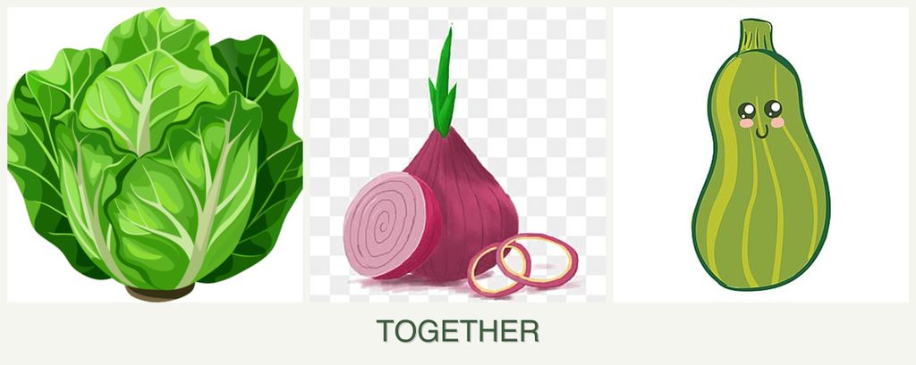 Can you plant lettuce, onions and zucchini together?