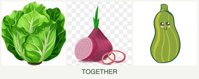 Can you plant lettuce, onions and zucchini together?