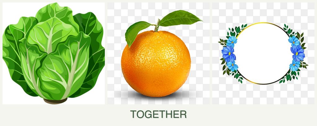 Can you plant lettuce, oranges and zinnias together?