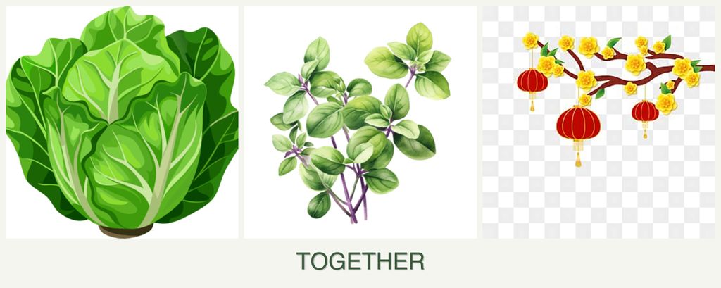 Can you plant lettuce, oregano and apricots together?