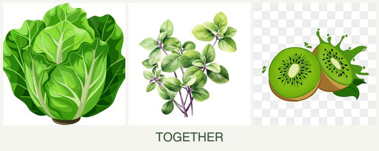 Can you plant lettuce, oregano and kiwi together?