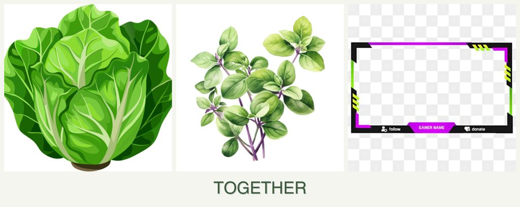 Can you plant lettuce, oregano and limes together?