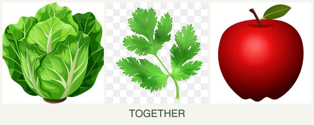 Can you plant lettuce, parsley and apples together?