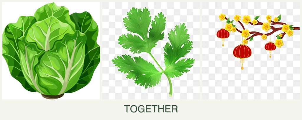 Can you plant lettuce, parsley and apricots together?