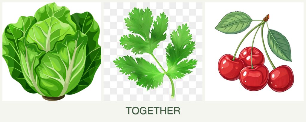 Can you plant lettuce, parsley and cherries together?
