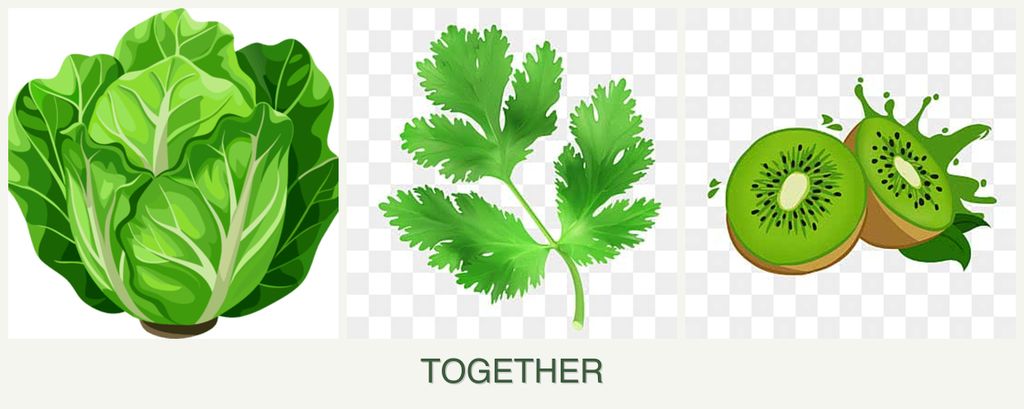 Can you plant lettuce, parsley and kiwi together?