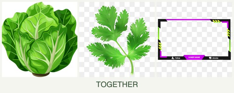 Can you plant lettuce, parsley and limes together?