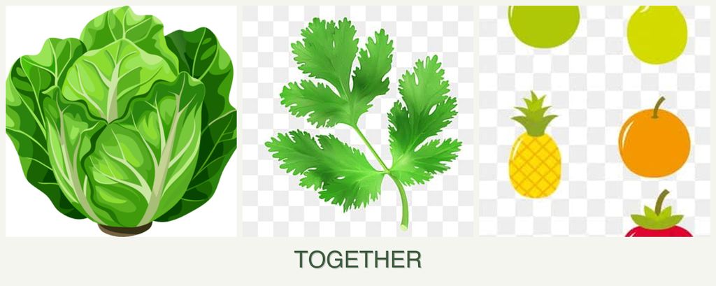Can you plant lettuce, parsley and pears together?
