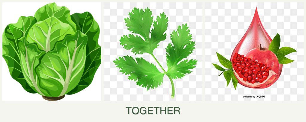 Can you plant lettuce, parsley and pomegranates together?