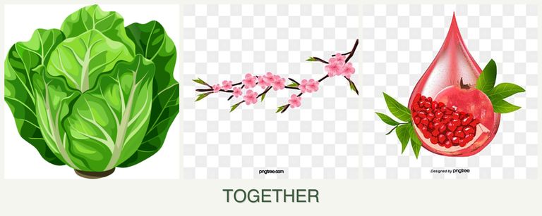 Can you plant lettuce, peaches and pomegranates together?