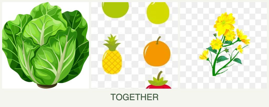 Can you plant lettuce, pears and calendula together?
