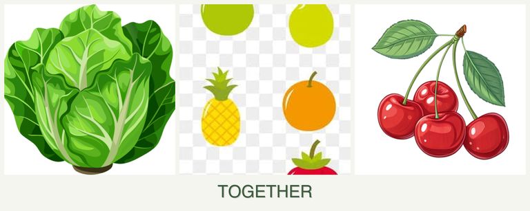 Can you plant lettuce, pears and cherries together?