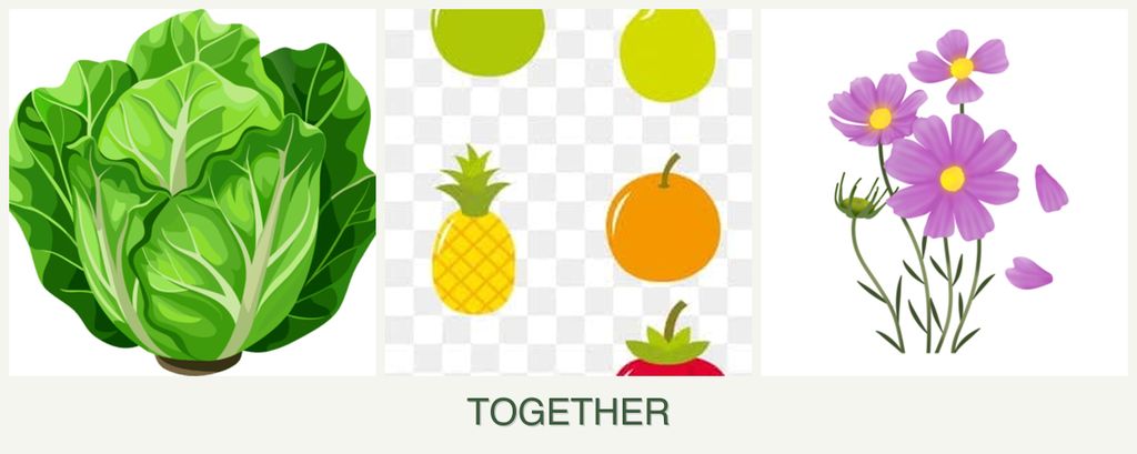 Can you plant lettuce, pears and cosmos together?