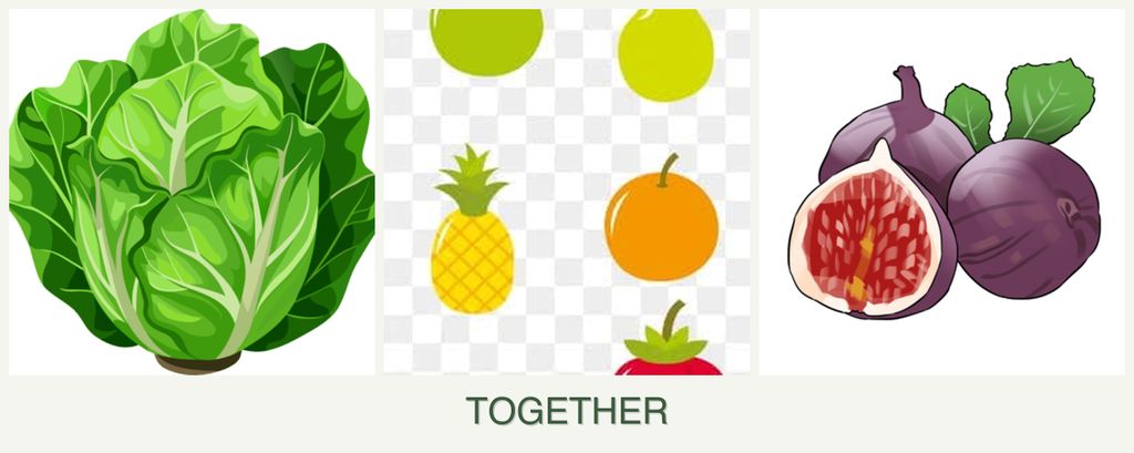 Can you plant lettuce, pears and figs together?