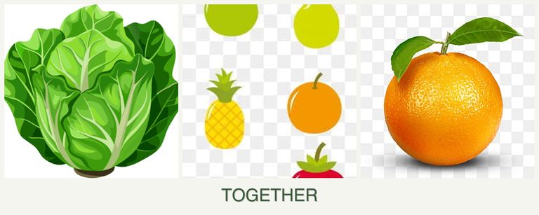 Can you plant lettuce, pears and oranges together?