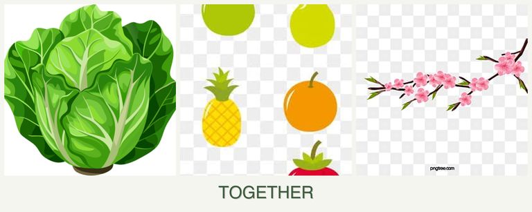 Can you plant lettuce, pears and peaches together?