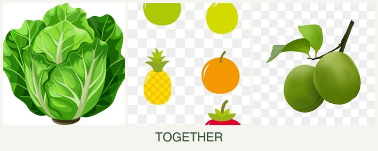 Can you plant lettuce, pears and plums together?