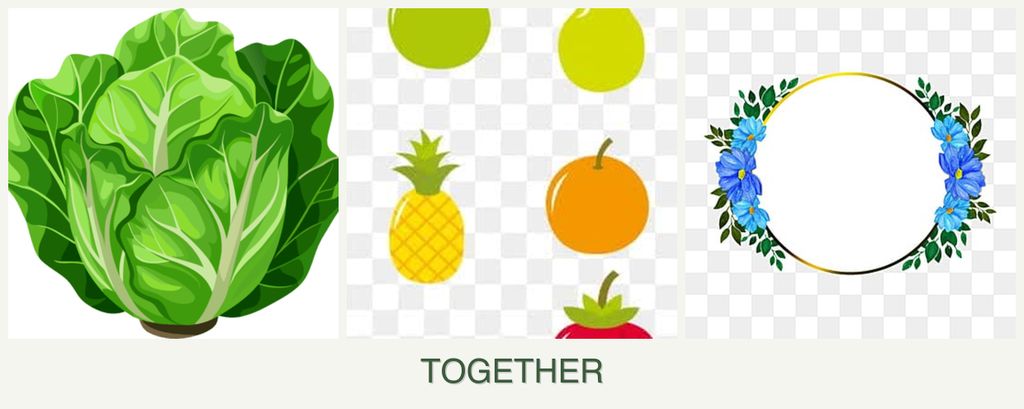 Can you plant lettuce, pears and zinnias together?