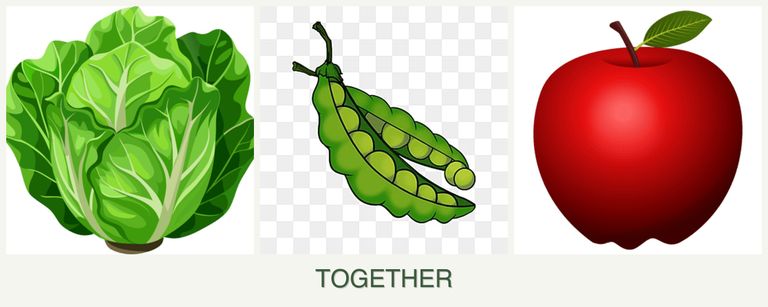 Can you plant lettuce, peas and apples together?
