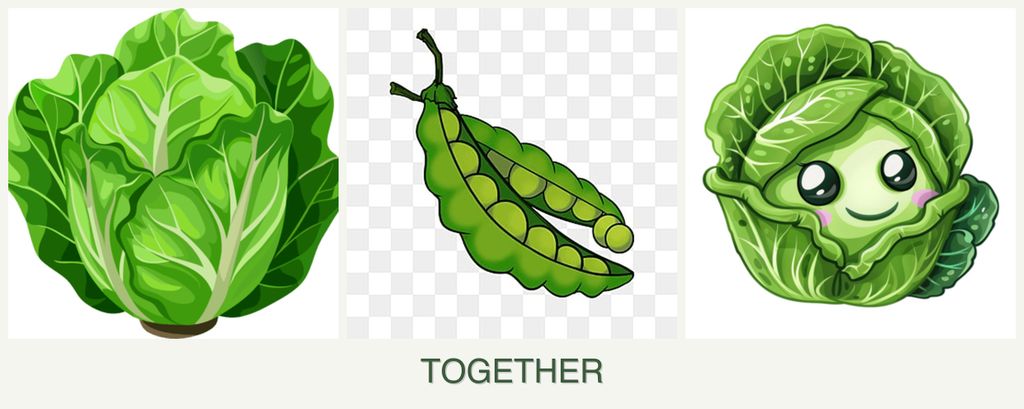 Can you plant lettuce, peas and cabbage together?