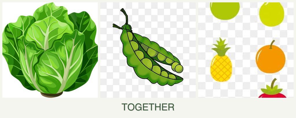 Can you plant lettuce, peas and pears together?