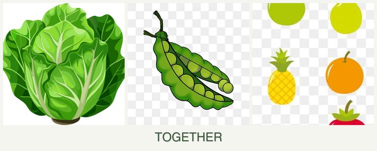 Can you plant lettuce, peas and pears together?