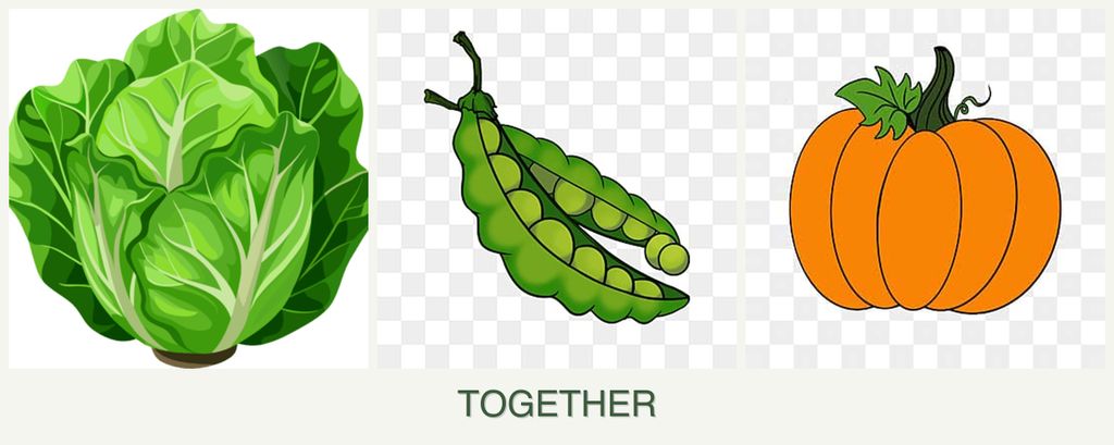 Can you plant lettuce, peas and pumpkin together?