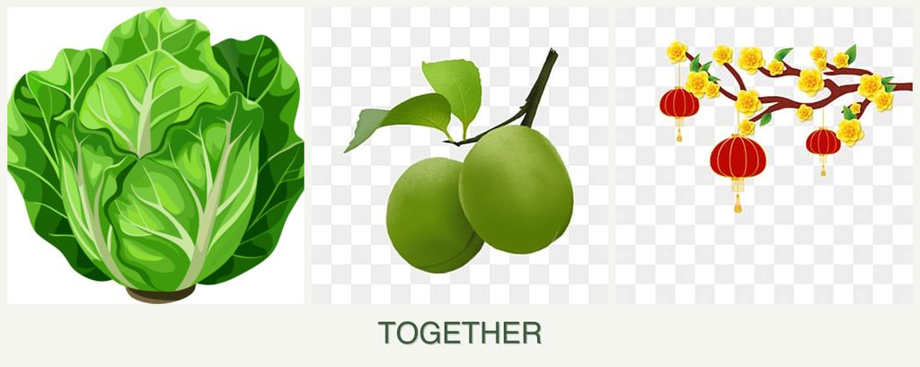 Can you plant lettuce, plums and apricots together?