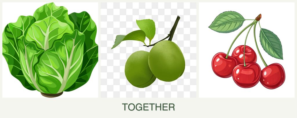Can you plant lettuce, plums and cherries together?