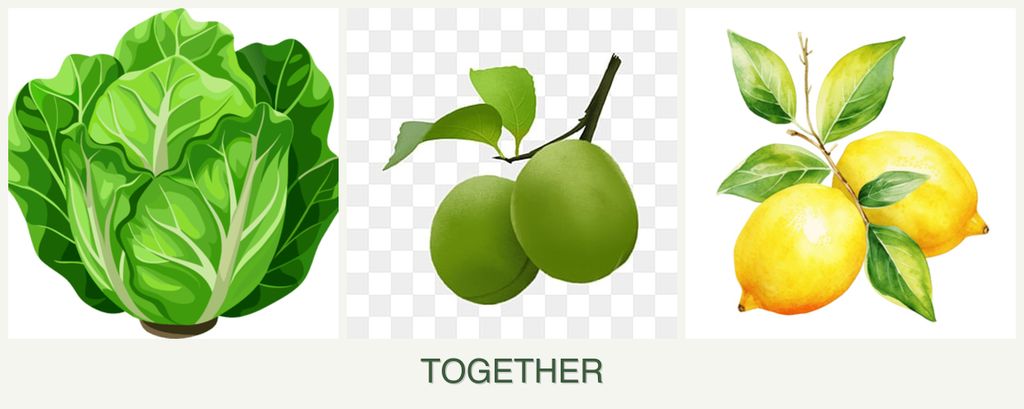 Can you plant lettuce, plums and lemons together?