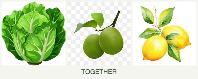 Can you plant lettuce, plums and lemons together?