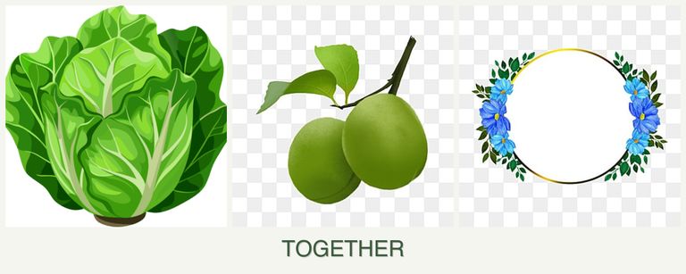 Can you plant lettuce, plums and zinnias together?