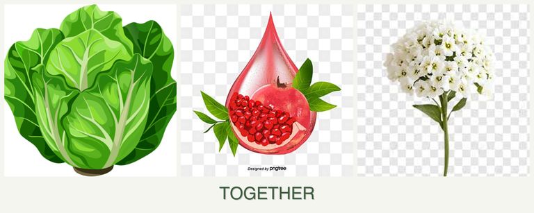 Can you plant lettuce, pomegranates and alyssum together?