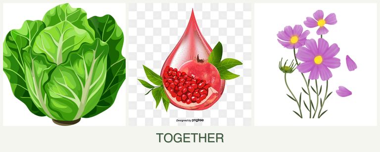 Can you plant lettuce, pomegranates and cosmos together?