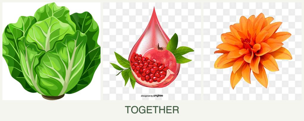 Can you plant lettuce, pomegranates and dahlias together?
