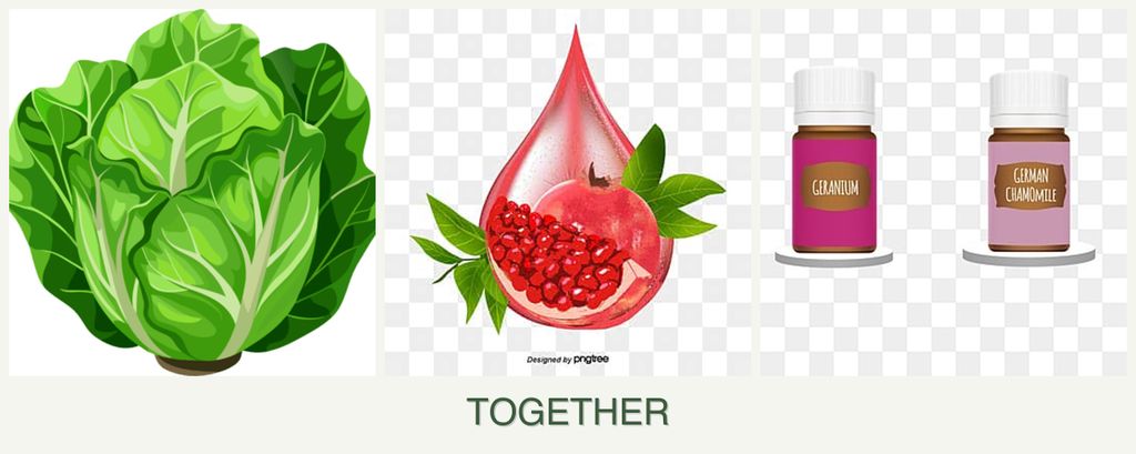 Can you plant lettuce, pomegranates and geraniums together?
