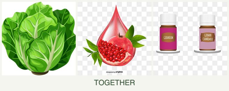 Can you plant lettuce, pomegranates and geraniums together?