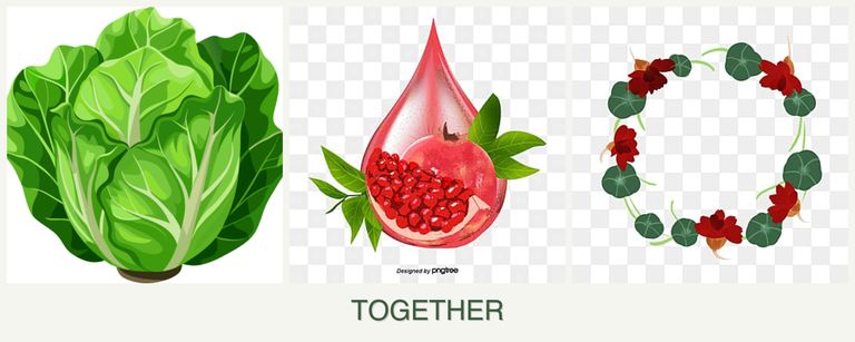 Can you plant lettuce, pomegranates and nasturtiums together?