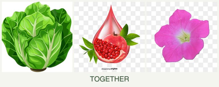 Can you plant lettuce, pomegranates and petunias together?