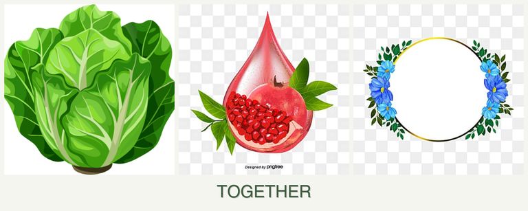 Can you plant lettuce, pomegranates and zinnias together?